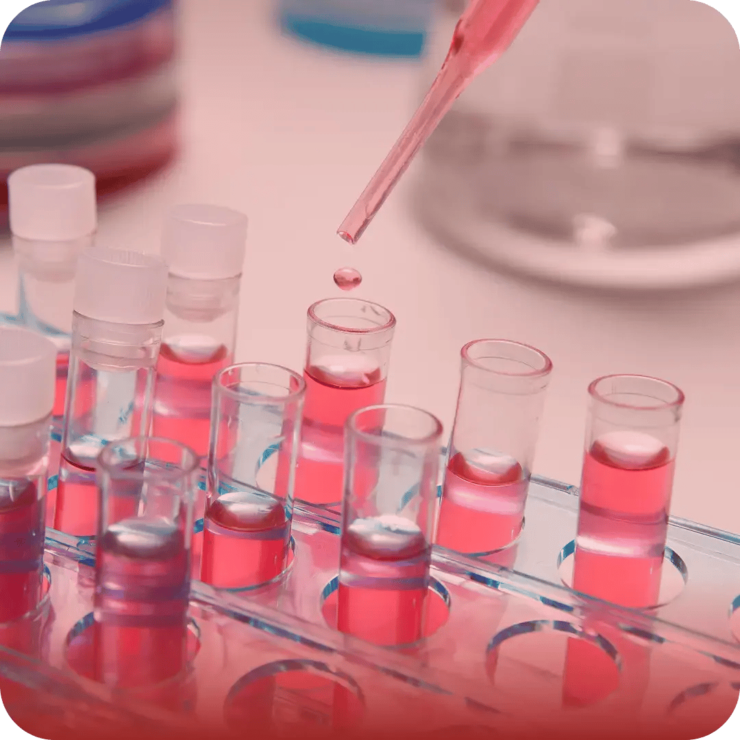 Laboratorios LeGrand-2