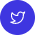 social-twitter