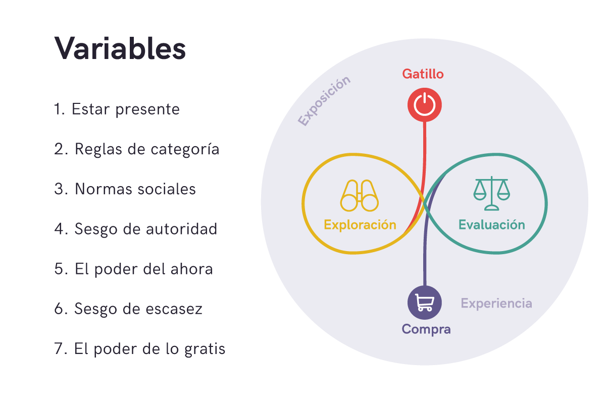 Variable Meddy middle